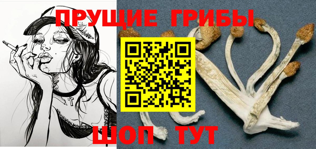 Галлюциногенные грибы MAGIC MUSHROOMS  Вход с VPN  Симферополь 