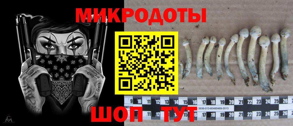 Псилоцибиновые грибы Cubensis Симферополь